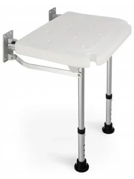 Shower seat
